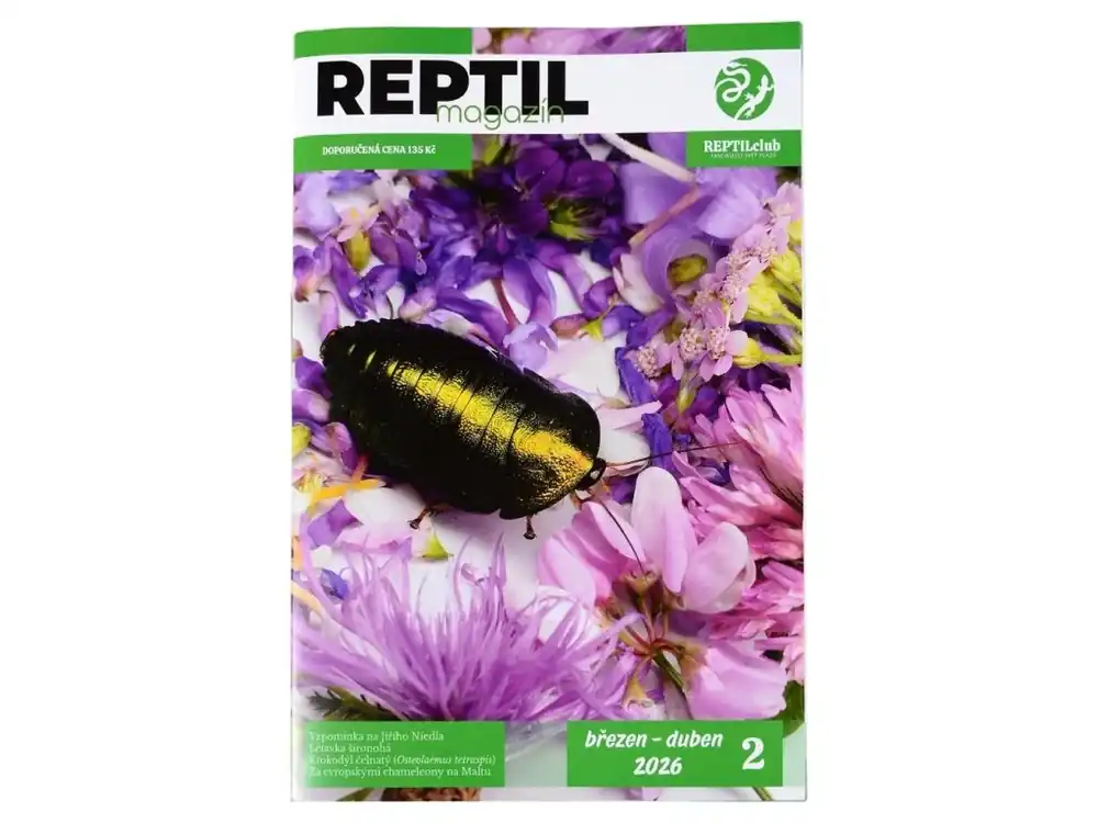 Akce REPTILmagazín 03/04-2026