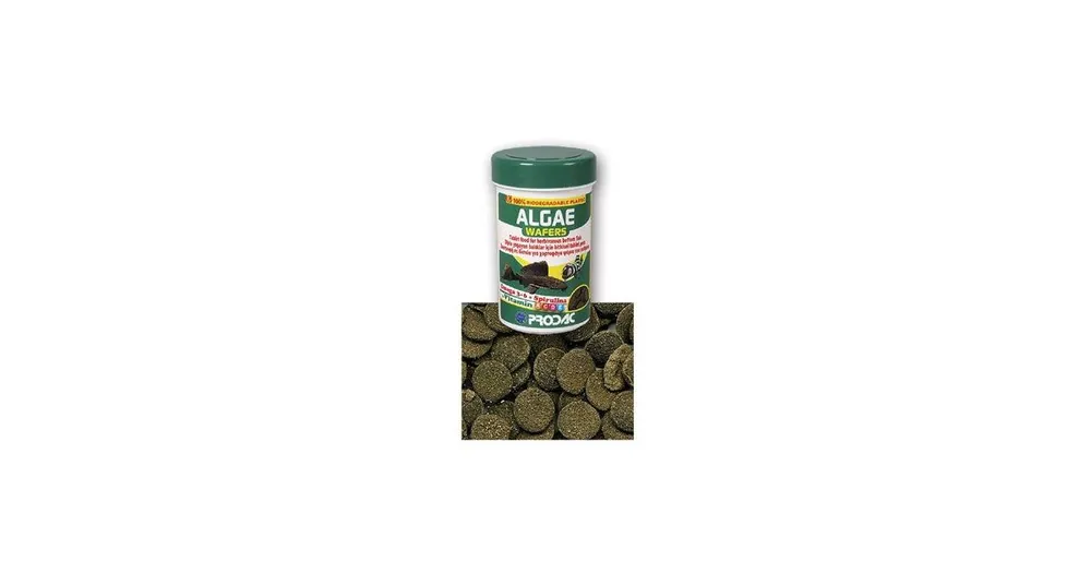Horká Nabídka Krmivo pro ryby Prodac Algae Wafers 50g
