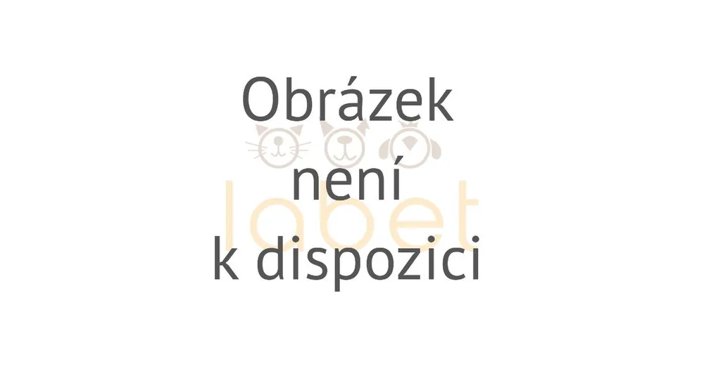 Sleva Hračka pes Dog Comets Alien Octo M 28cm oranžová