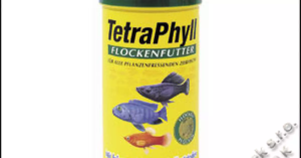 Krmivo Tetra Phyll 100ml Akce