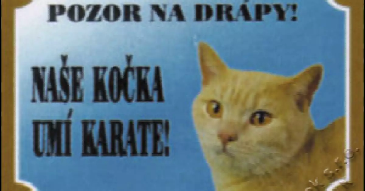 Autentický Tabulka kočka (1ks)