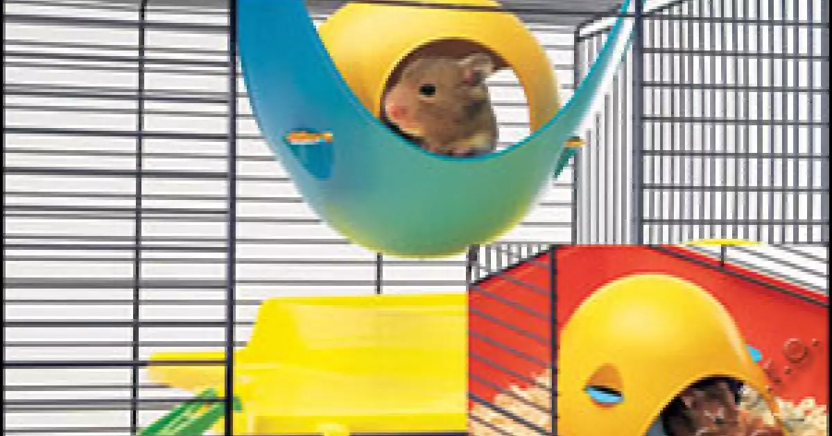 Domek Savic plast Sputnik 21,5x21,5x12,5cm Kup Teď