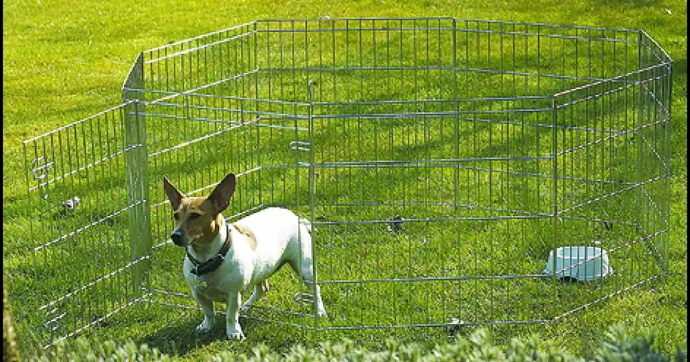 Ohrádka Savic Dog Park 1 61cm Levný