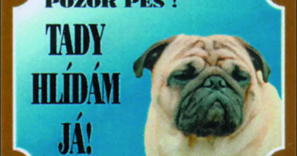 Akce Tabulka Dafiko mops