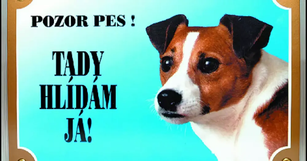 Tabulka Dafiko jack russel terier Pouze Dnes