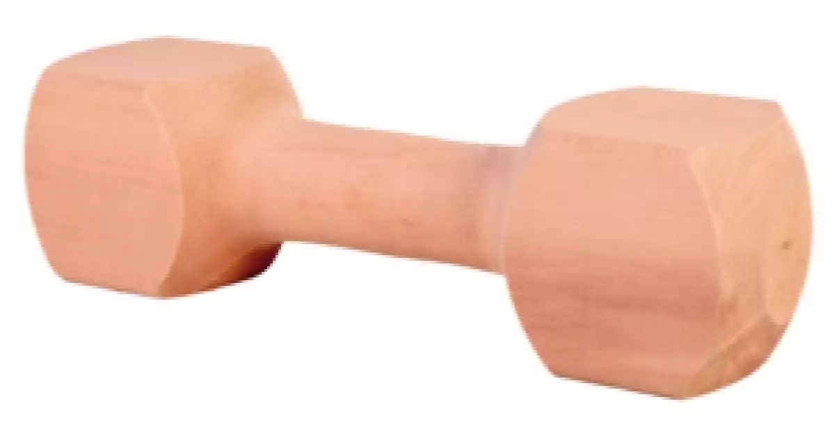 Rychlé Dodání Aport - dřevěná činka 650g