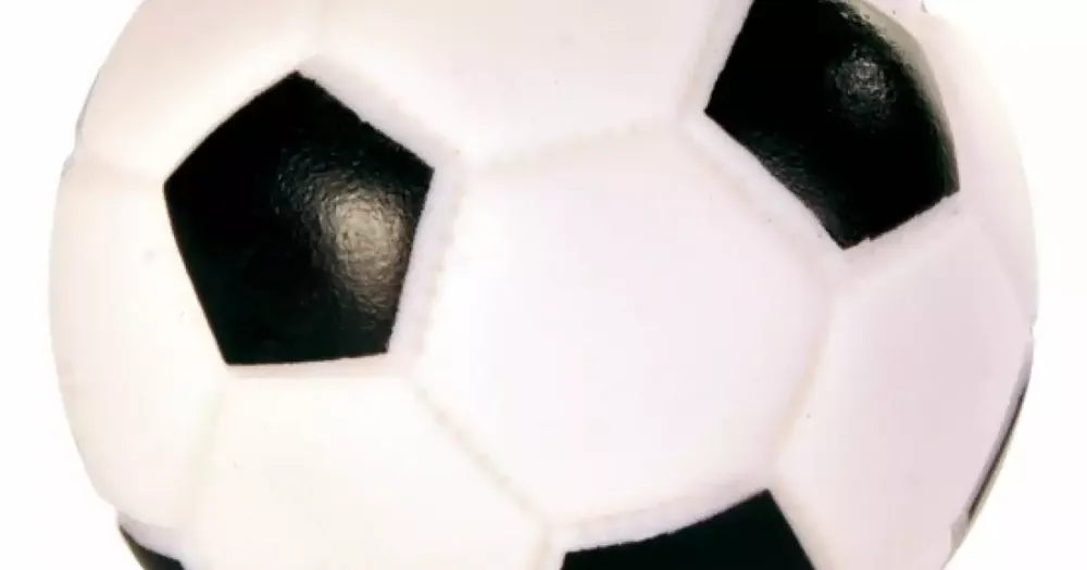 Vrácení Zdarma Fotbalový míč Trixie 6cm