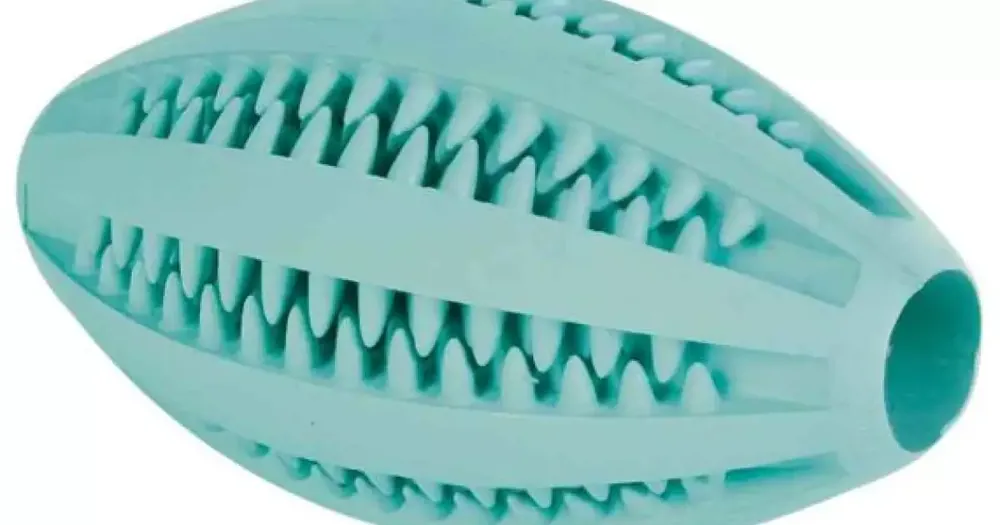 DENTAfun RUGBY míč s mátou 11cm TRIXIE Kup Teď