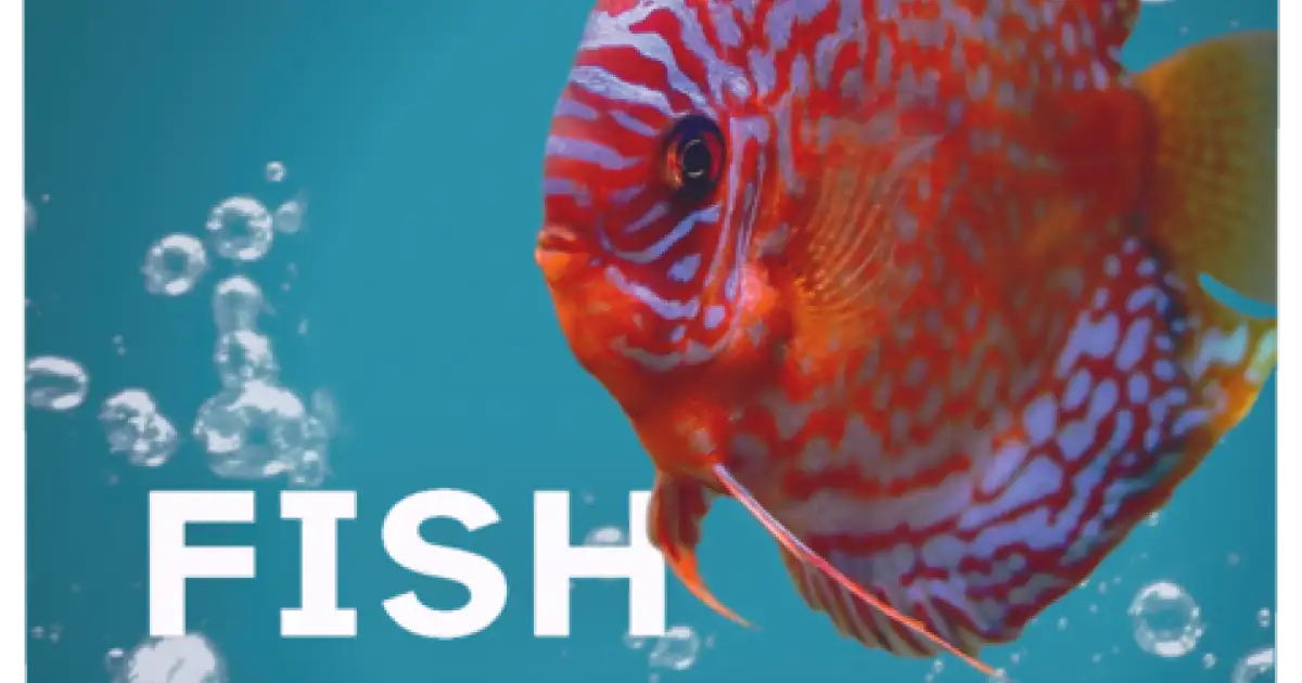 Horká Nabídka SERA Fishtamin 100ml