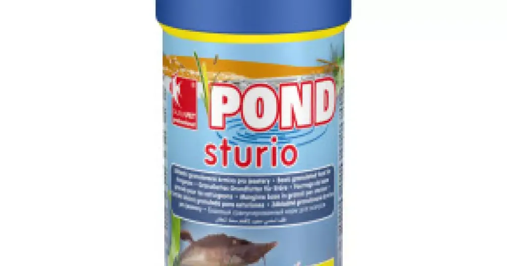 Dajana Pond sturio jeseter 1000 Levný