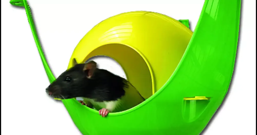 Pouze Dnes Domek Savic plast Sputnik 29x26x19cm