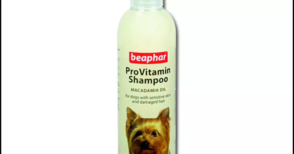Šampon Bea pro obnovu srsti (250ml) Poslední Šance