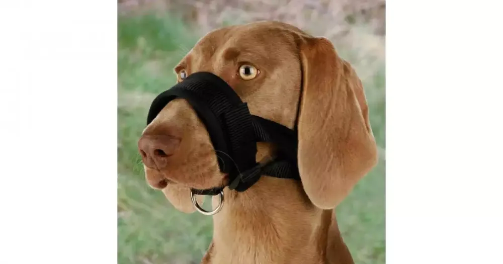 Must-Have Nylonový náhubek podložený XXL 28-38cm TRIXIE