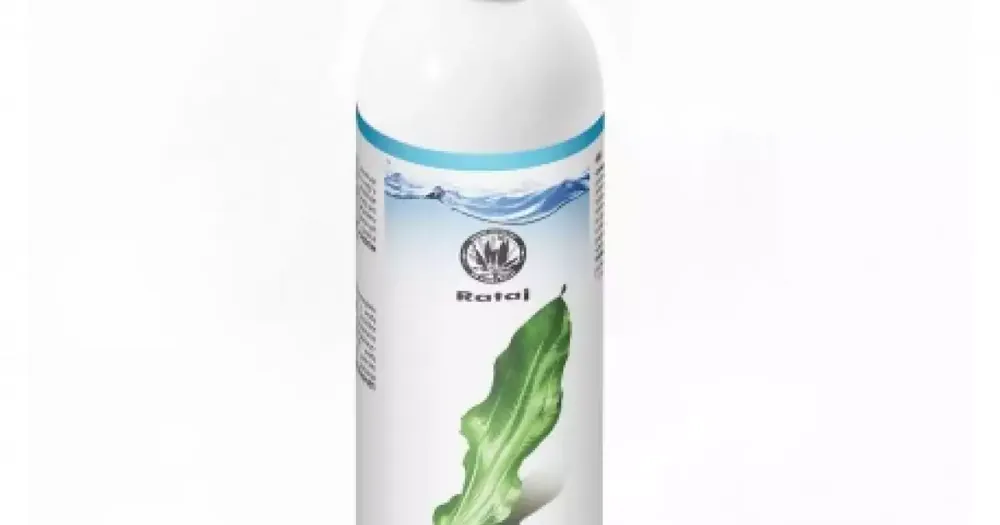 Antichlor 500ml Výhodná Nabídka