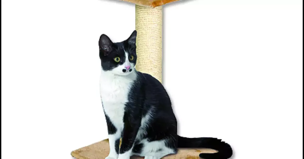 Odpočívadlo Magic Cat Beata béžové 31x31x39cm Nakupujte Hned