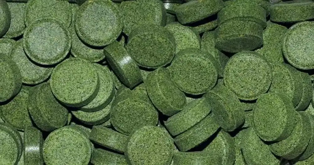 Nejprodávanější Dajana Tablety na sklo 1kg