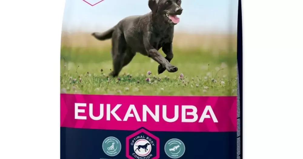 Aktuální Krmivo EUKANUBA Adult Large & Giant 3kg