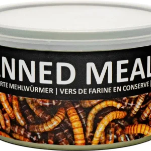Tovární Cena UGF sušený moučný červ konzerva 35g