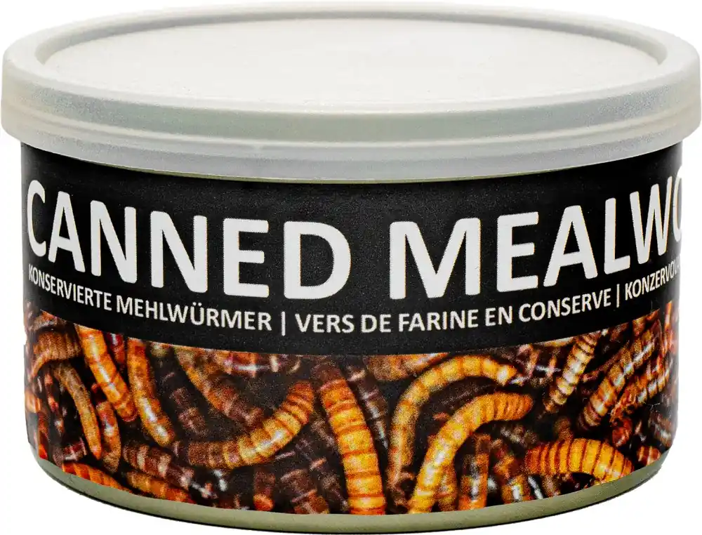 Tovární Cena UGF sušený moučný červ konzerva 35g