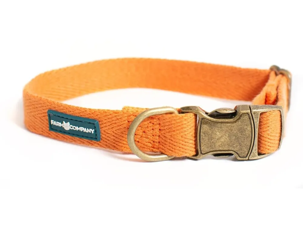 Farm Company ekologicky šetrný obojek pro psy ze sojových vláken 2,5cm/42-65cm oranžová Poslední Šance