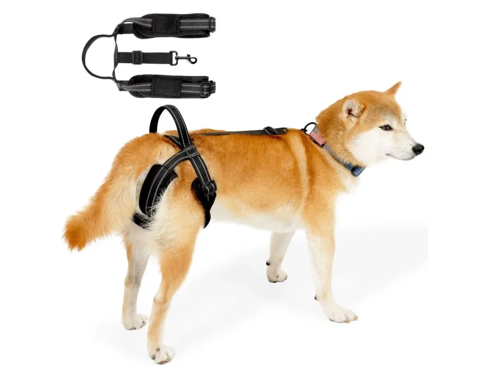 Rehabilitační postroj pro psy - podpůrný, nastavitelný (lifting harness) Nejlepší Cena