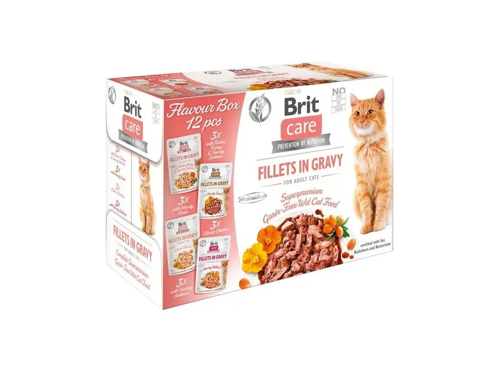 Jen Po Omezenou Doba Brit Care Cat kapsička Flavour box Fillet in Gravy 12x85 g (multipack)