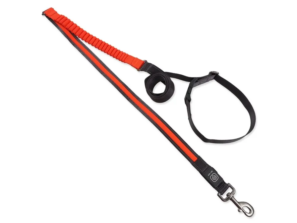Expresní Doručení Vodítko Dog Fantasy USB LED nylonové běžecké oranžové 2,5x180-250cm