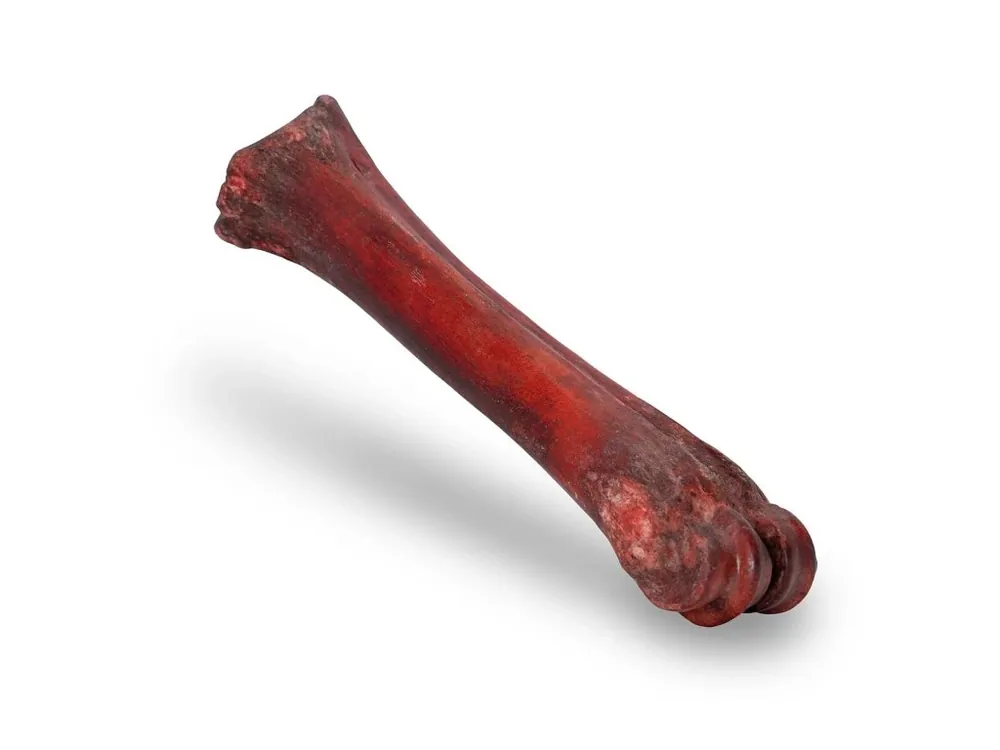 Hit Sezóny KIDDOG 100% Natural Snack, hovězí uzená holenní kost - 1 ks / 20-24 cm