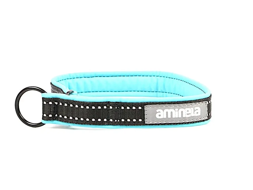 Aminela obojek polostahovací Sport & City 25mm/42cm + 5cm, tyrkysová Must-Have