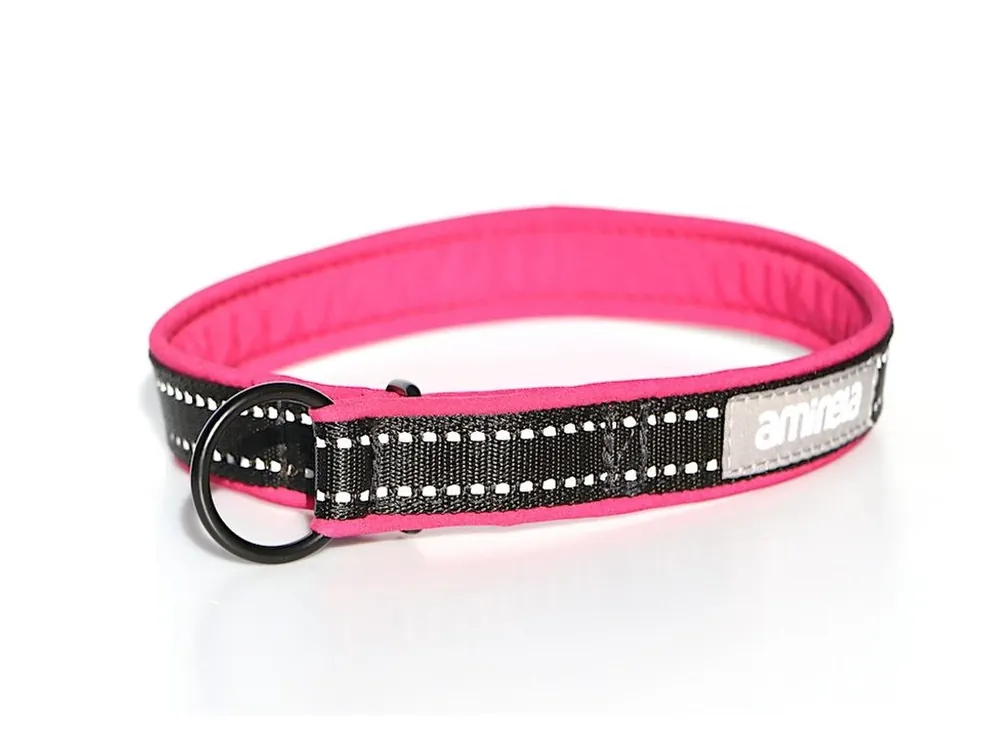 Expresní Doručení Aminela obojek polostahovací Sport & City 25mm/42cm + 5cm, malinová