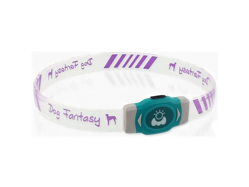 Obojek Dog Fantasy LED Svítící různobarevný nabíjecí L 65 cm Nová Kolekce