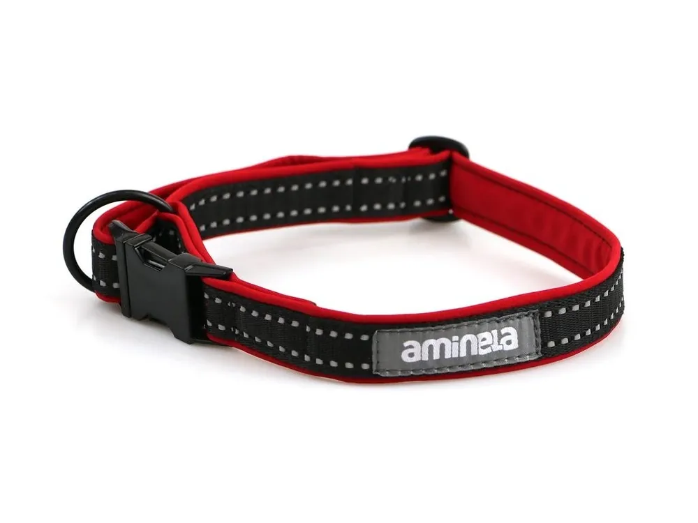 Poslední Šance Aminela obojek se sponou Sport & City 25mm/35-60cm, červená