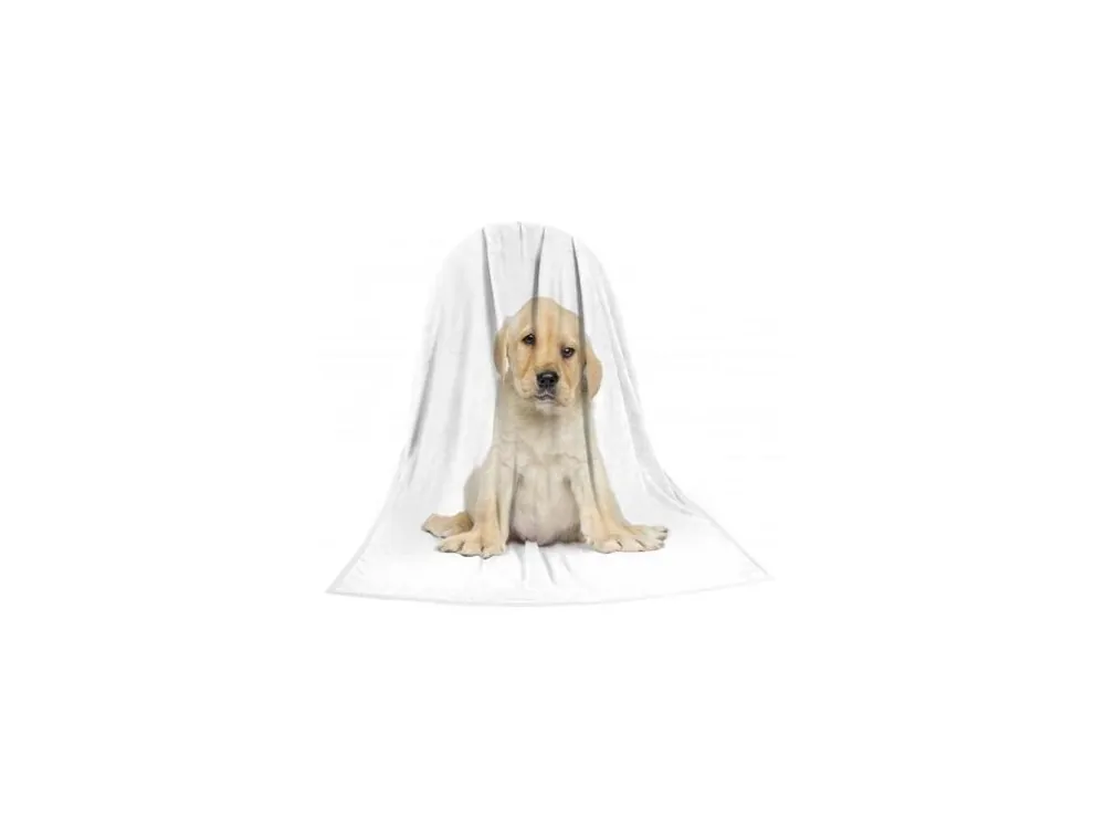 Deka TEXSTAR mikrovlákno 280g 150 x 200 cm, potisk štěně Nejlepší Volba