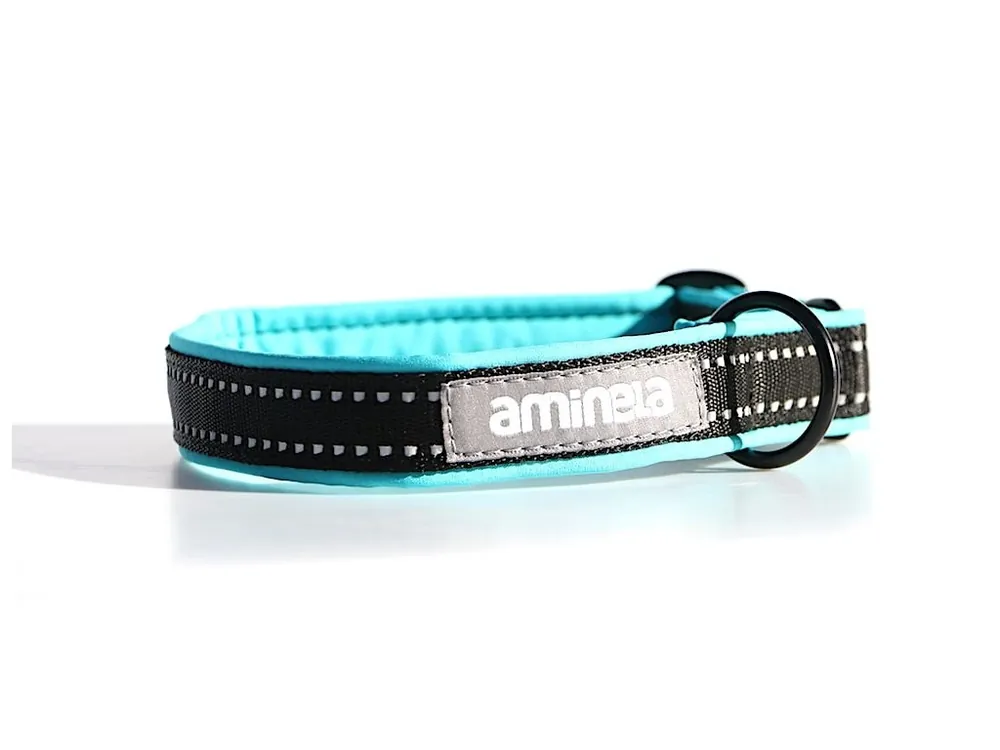 Must-Have Aminela klasik obojek Sport & City 25mm/35-70cm - tyrkysová