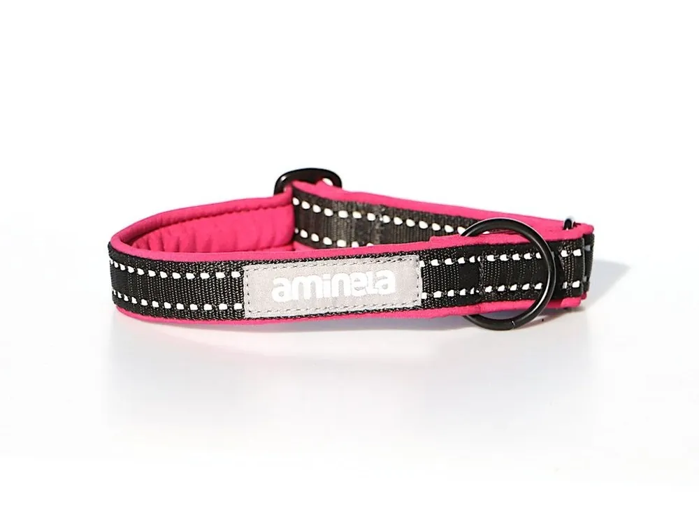 Zlevněný Aminela klasik obojek Sport & City 25mm/30-50cm - malinová