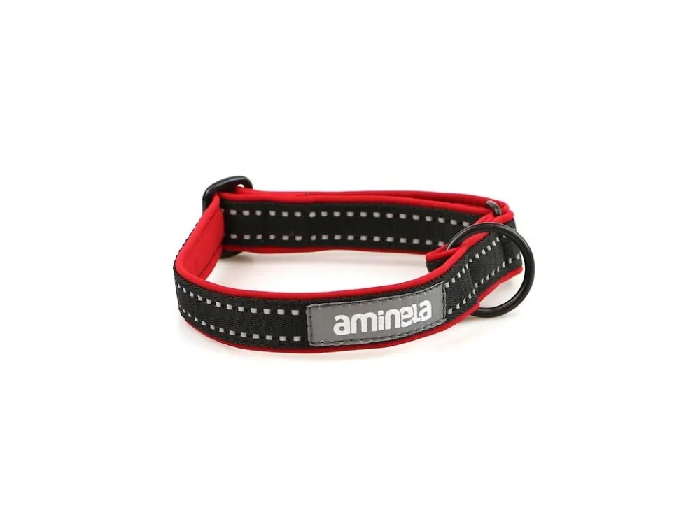 Aminela klasik obojek Sport & City 25mm/30-50cm červená Dokud Zásoby Vydrží