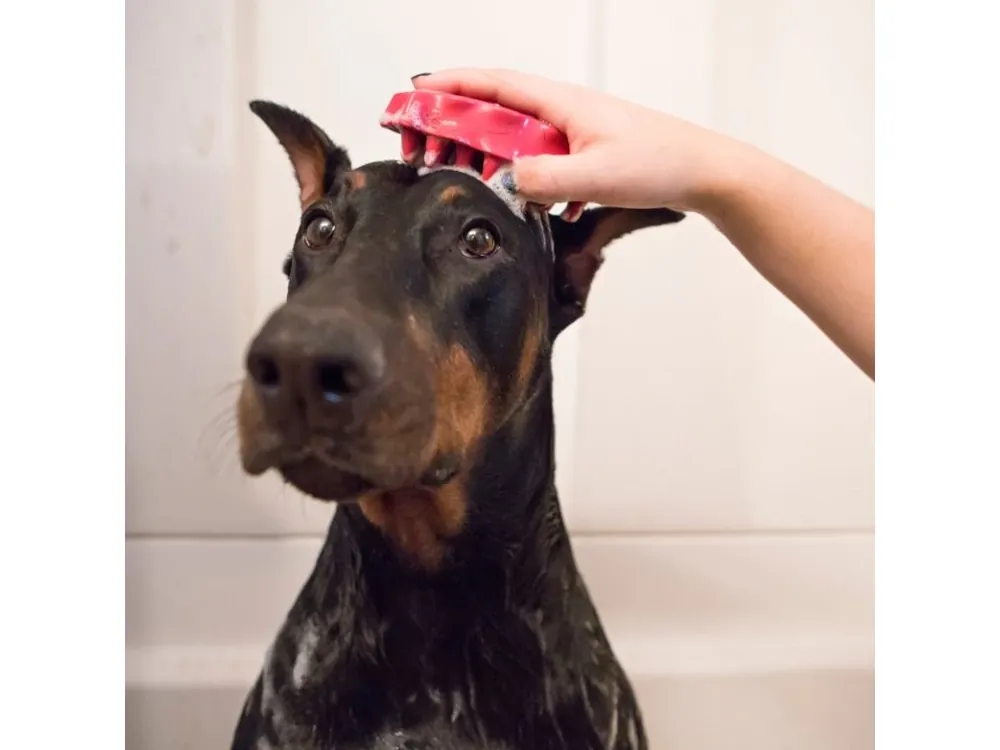 Kartáč gumový KONG ZoomGroom Raspberry růžový (vel. L) Novinka