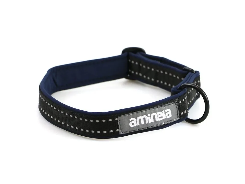 Aktuální Aminela klasik obojek Sport & City 25mm/30-50cm, modrá