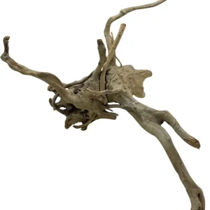 Objednat Nyní Red moor wood KG 1745g (ID 3528)