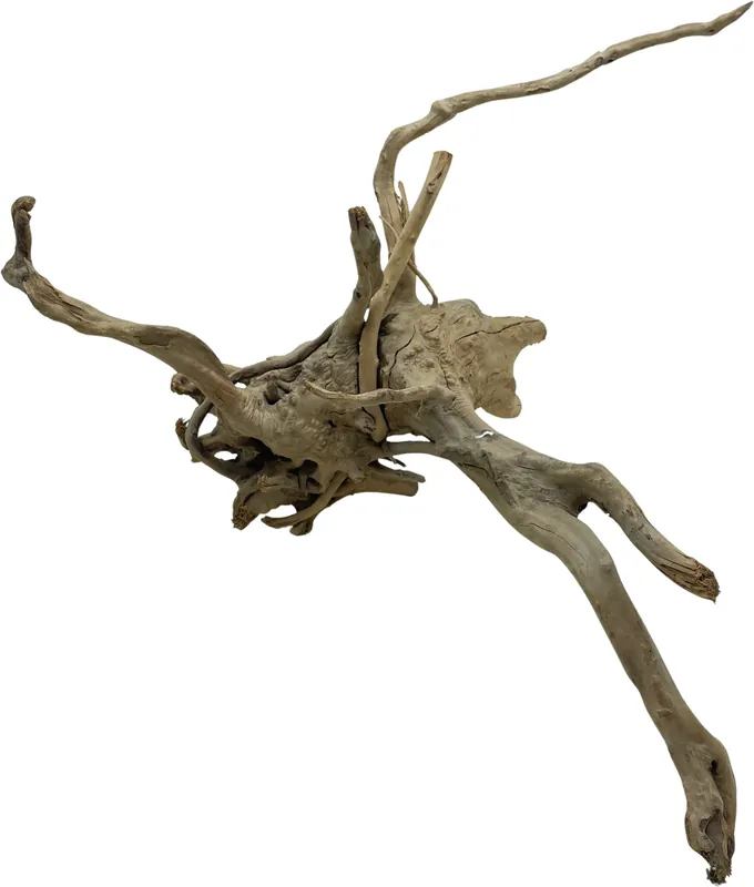 Objednat Nyní Red moor wood KG 1745g (ID 3528)