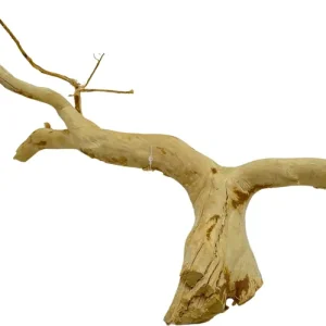 Akční Cena Red Moor Wood L 40-50cm (ID 3614)