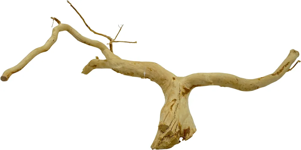 Akční Cena Red Moor Wood L 40-50cm (ID 3614)