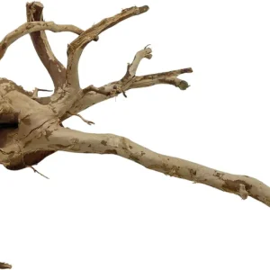 Nejprodávanější Red moor wood KG 1520g (ID Z05030)