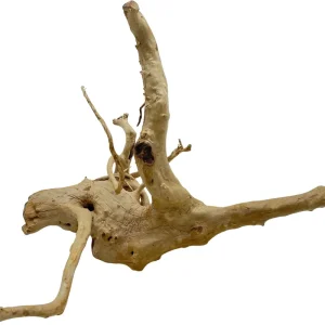 Kup Teď Red moor wood KG 1375g (ID Z05039)