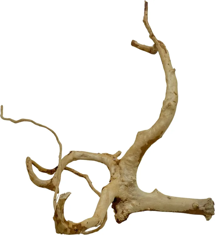 Red Moor Wood S 20-30cm (ID Z05844) Cenový Hit