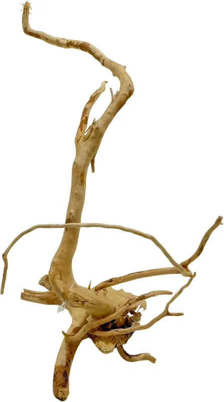 Nízká Cena Red Moor Wood S 20-30cm (ID Z05845)