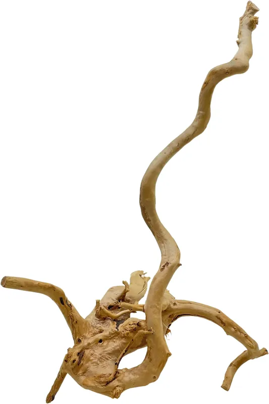 Přímo Od Výrobce Red Moor Wood M 30-40cm (ID Z05861)