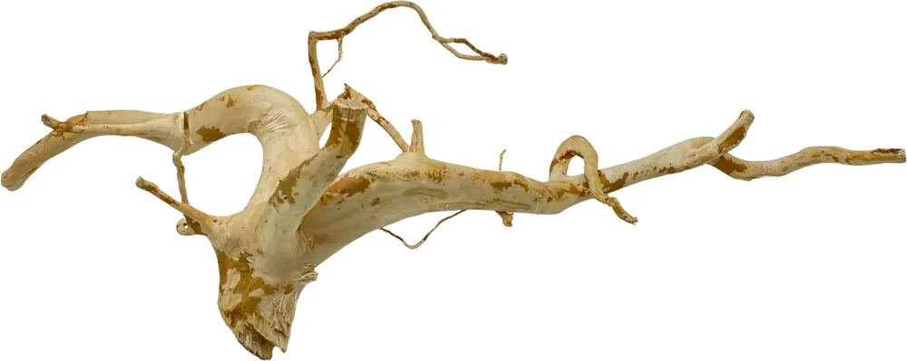 Red Moor Wood XXL 60-75cm (ID Z05875) Nejlepší Volba