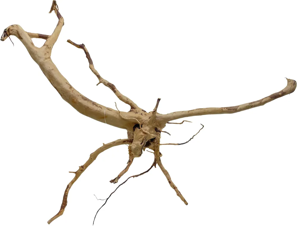 Red Moor Wood XL 50-60cm (ID Z05867) Finální Výprodej