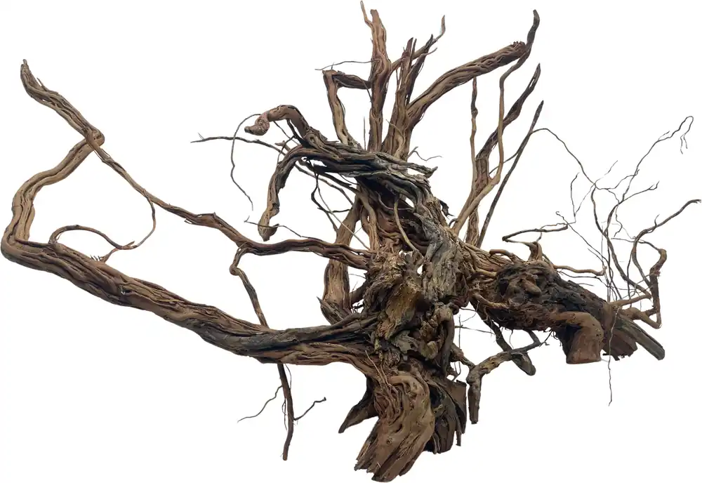Dragon wood 90-120cm (ID Z05954) Nová Kolekce